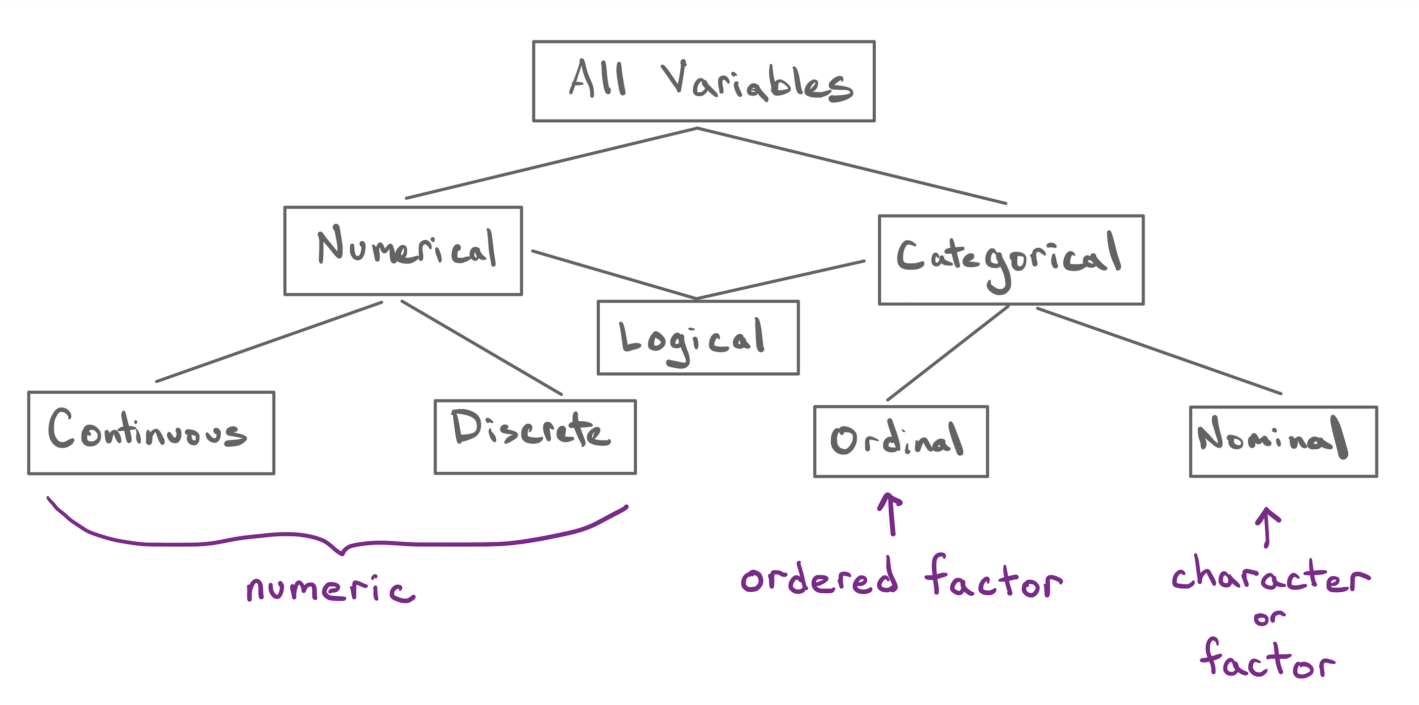 The taxonomy of data modified to show the R analogs of each of the data types.